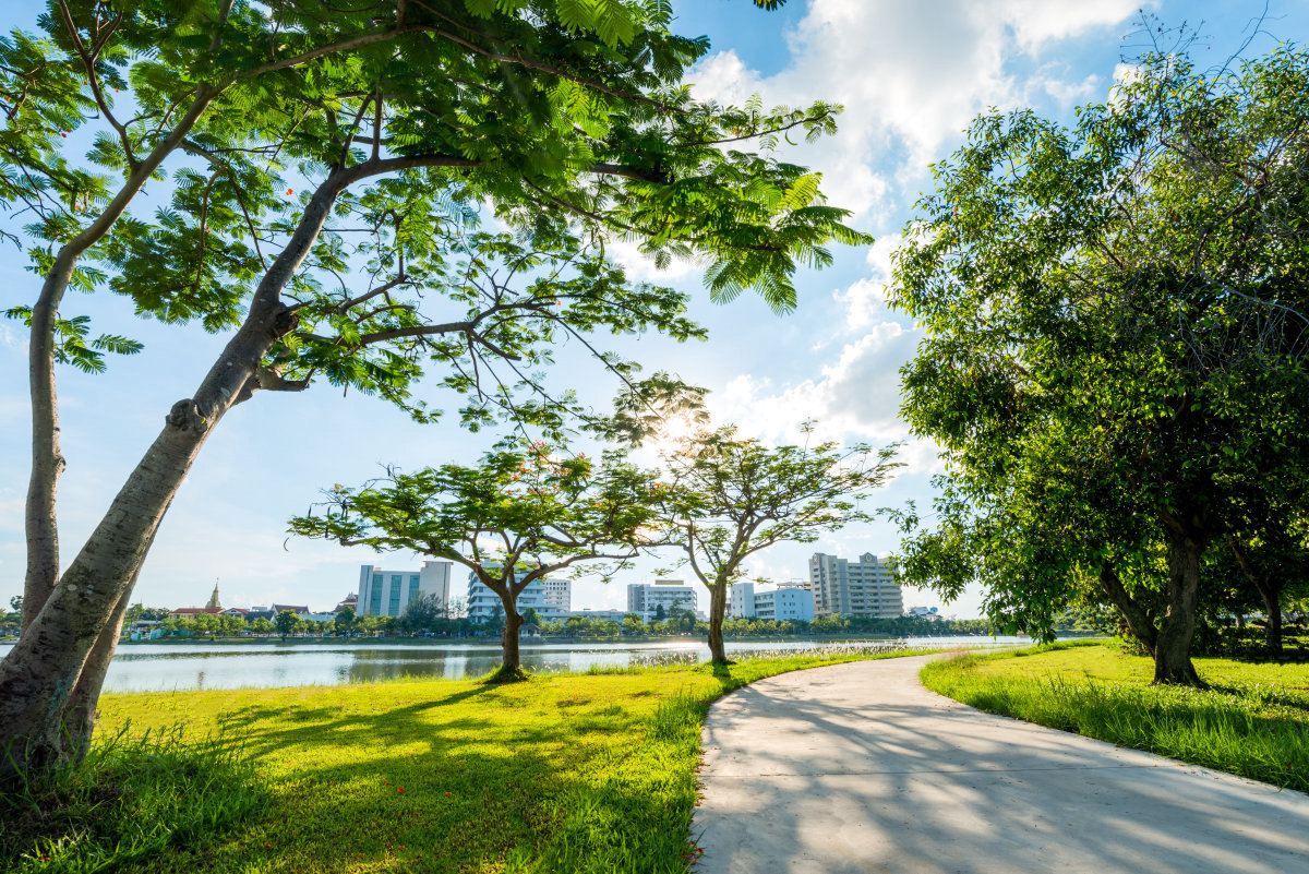 城市綠化景觀發 (fā)展新方向 (xiàng)——建築牆體綠化